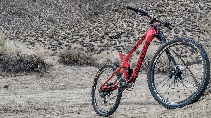 Illustration for article titled What I’ve Learned, Learning To Ride Mountain Bikes
